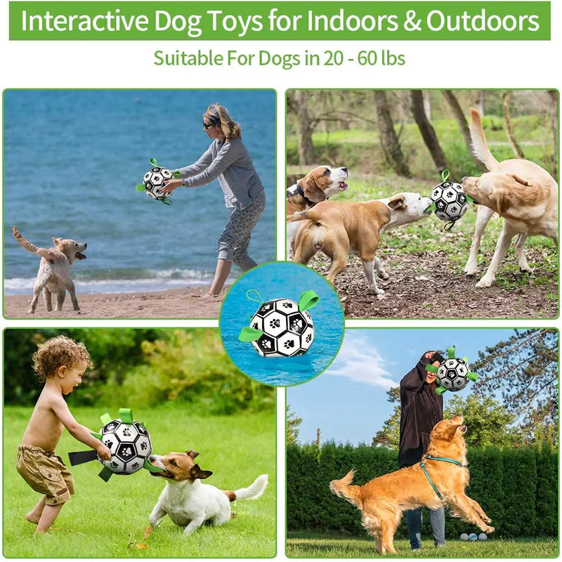 Soccer Ball Dog Toy