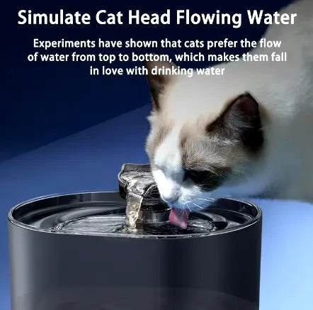 Pet Water Dispenser