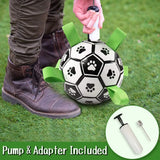 Soccer Ball Dog Toy